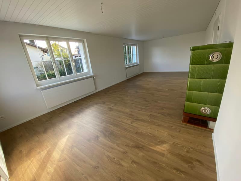 Detached, partially renovated single-family house with large surroundings (9)