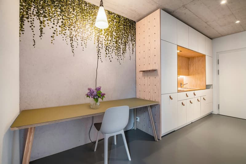 moderne, möblierte 1 Zimmer-Wohnung in Winterthur (5)