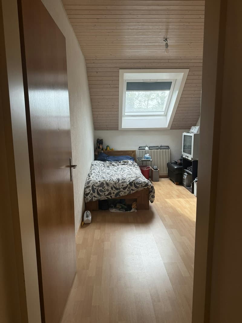 Grosse Dachwohnung mit Charme (4)