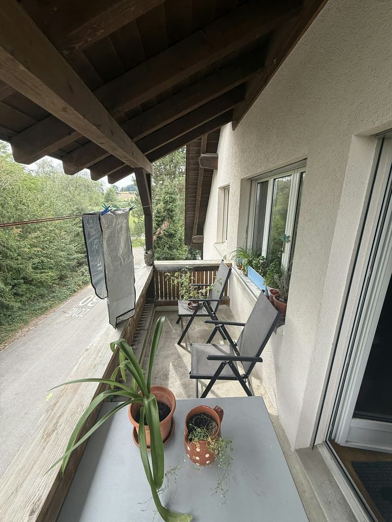 Grosse Dachwohnung mit Charme (7)