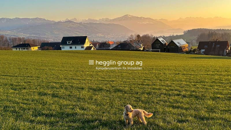 Umgebung