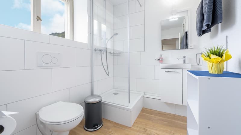 modern bathroom with white tiles, glass walk-in shower, white sink, silver pedal bin, white toilet, wooden floor