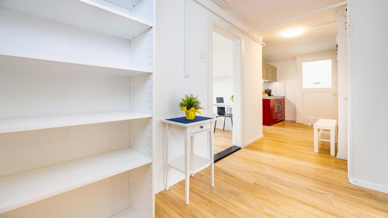 white shelves, white table, yellow plant, wooden floor, white walls