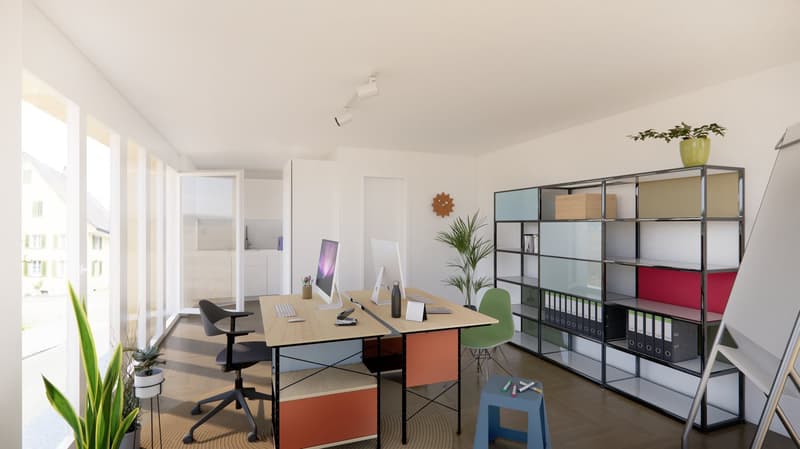 Office room, two desks with monitors, chairs, shelves with files, plants, whiteboard, track lighting