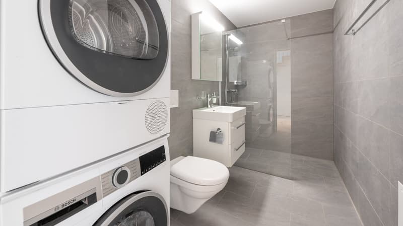 Modern bathroom with gray tile walls, white vanity with sink, toilet, and glass-enclosed shower. Washing machine and dishwasher are also visible in the room.