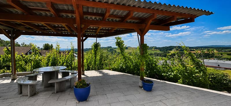 Charming 5.5-room single-family house for rent in Honau (16)