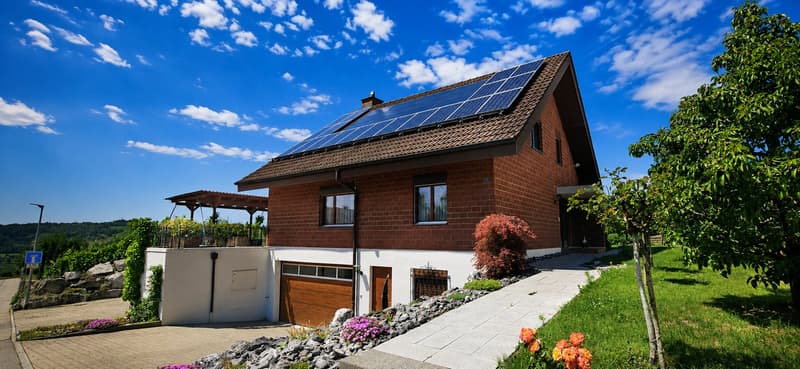 Charming 5.5-room single-family house for rent in Honau (1)