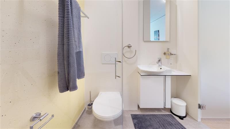 Z 333 / Vollausgerüstete möblierte 1-Zimmer-Wohnung mit / TV / Internet (4)