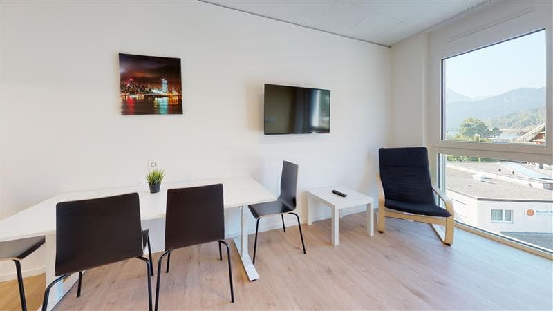 Z 333 / Vollausgerüstete möblierte 1-Zimmer-Wohnung mit / TV / Internet (3)