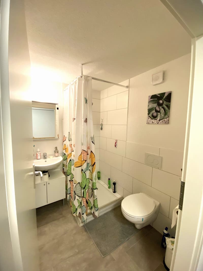 Z 504 / Vollausgerüstetes, möbliertes WG-Zimmer mit TV & Internet (3)