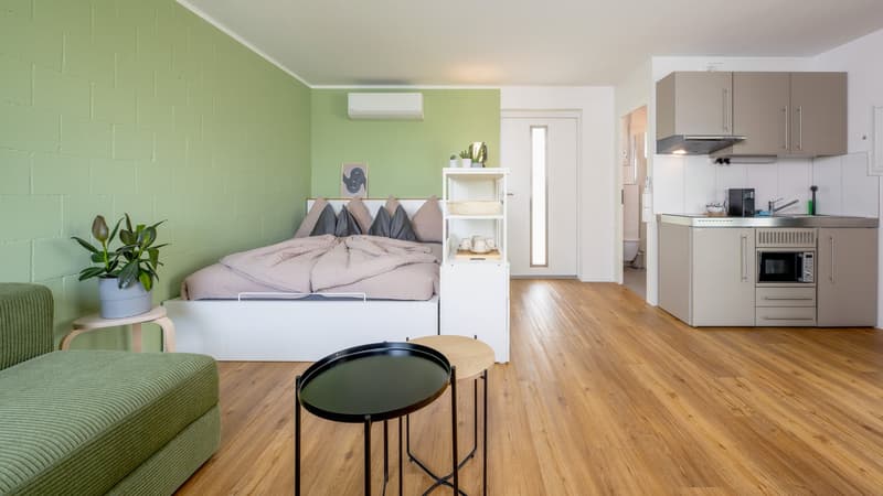 App 2101 / Moderne 1-Zimmer-Wohnung in Luzern zu vermieten (2)