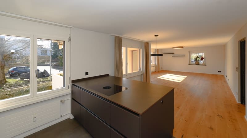 Blick über die moderne Küche in den Wohnraum