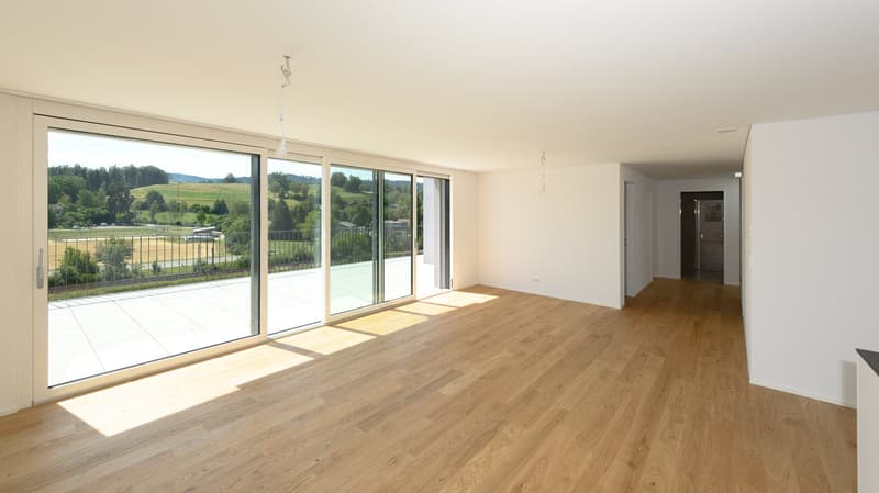 Wohnzimmer mit der grossen Terrasse und der schönen Aussicht