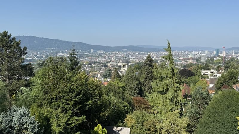 Aussicht über Zürich