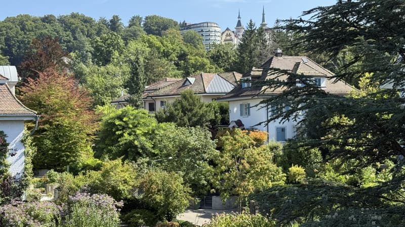 Aussicht zum Hotel Dolder