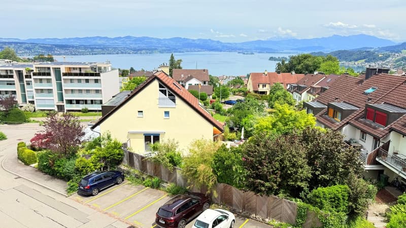 Aussicht Richterswil