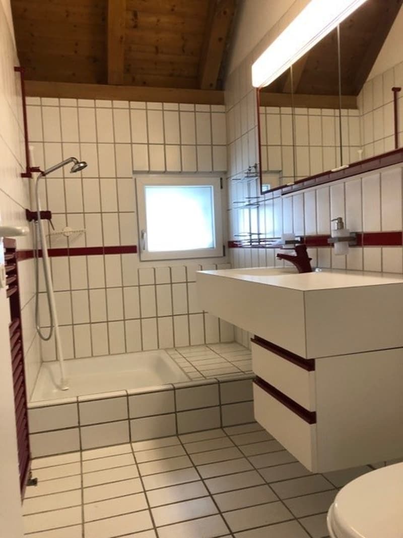 3.5-room maisonette apartment for rent (5)