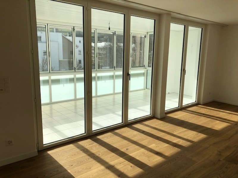 Appartamento moderno 4.5 locali con serra invernale (4)