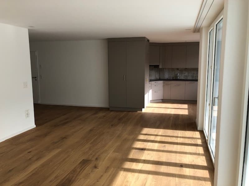 Appartamento moderno 4.5 locali con serra invernale (2)