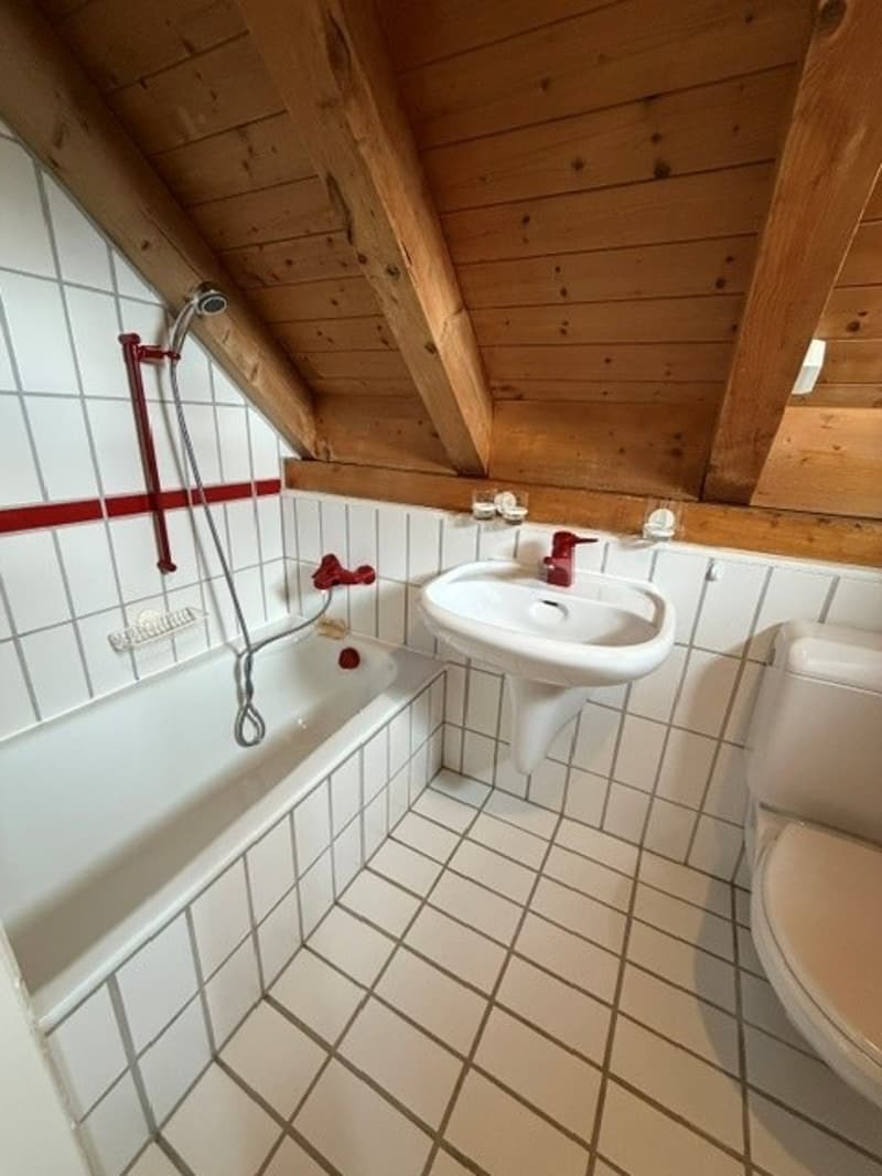 3.5-Zimmer Wohnung zu vermieten (10)