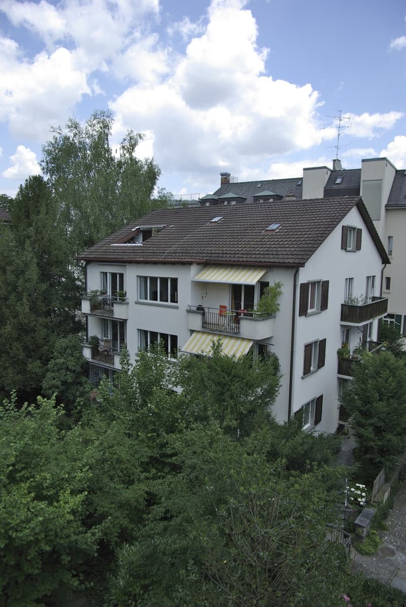 Appartement 1 pièce confortable avec loggia sur le toit, idéal comme solution temporaire (1)