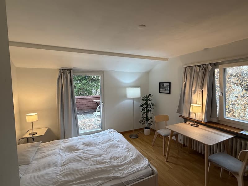 Appartement 1 pièce confortable avec loggia sur le toit, idéal comme solution temporaire (3)