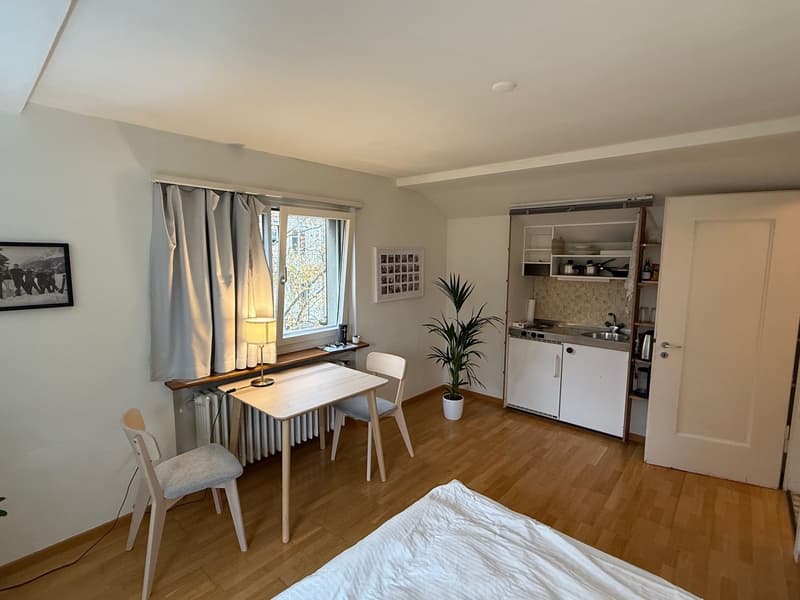 Appartement 1 pièce confortable avec loggia sur le toit, idéal comme solution temporaire (2)