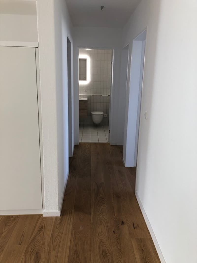 Moderne 4.5- Zimmerwohnung mit Wintergarten (7)