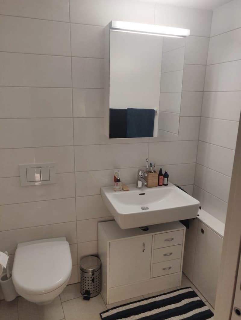 1.0-Zimmerwohnung per 16.11.2026 zu vermieten (5)