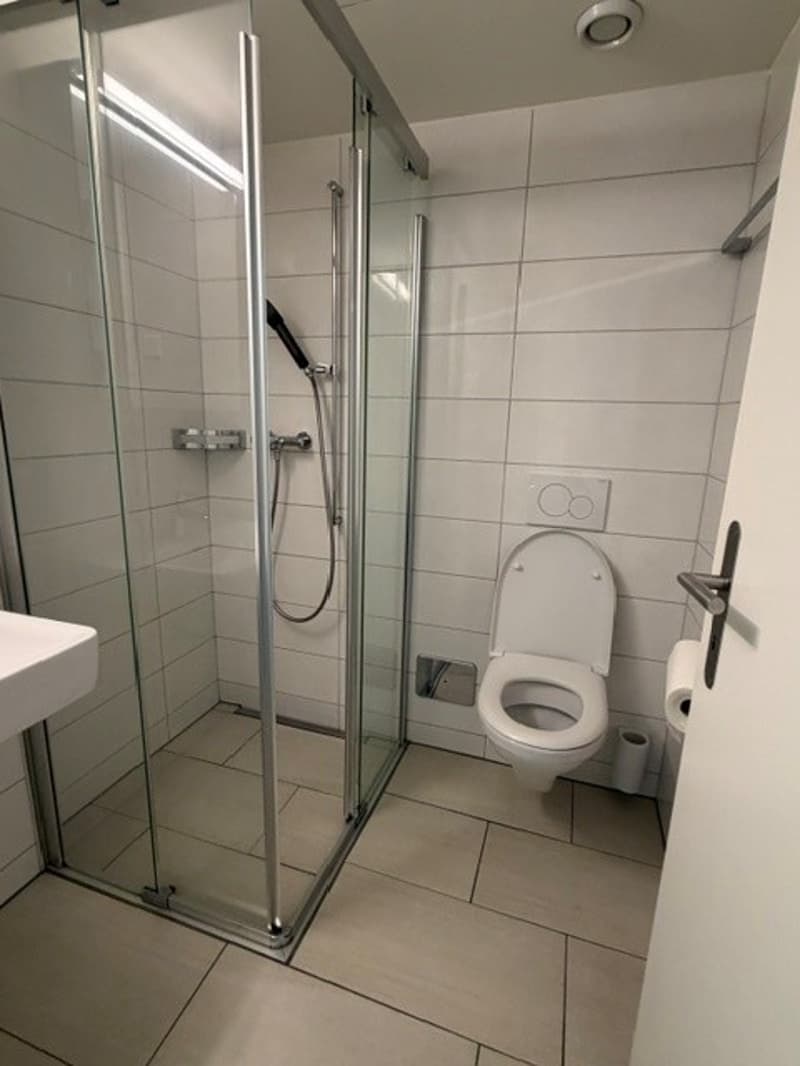 4.0-Zimmerwohnung im Seefeld zu vermieten (6)