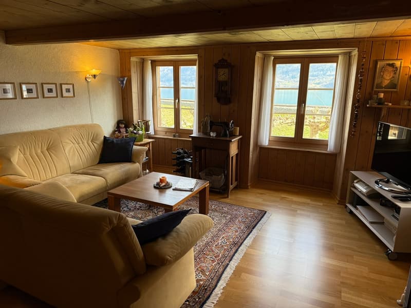 Unique home with lake view & charm - Living where others vacation (11)