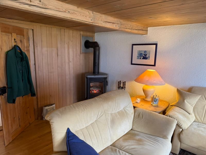 Unique home with lake view & charm - Living where others vacation (9)