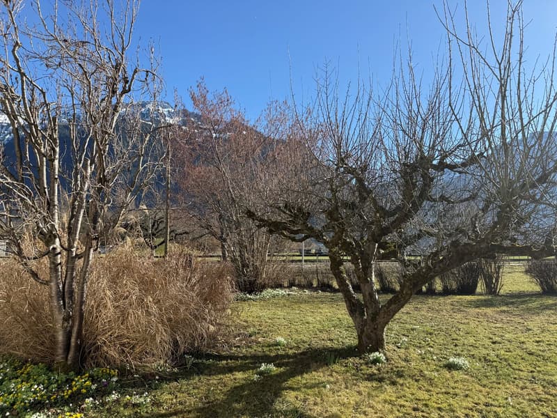 Proprietà con potenziale di nuova costruzione o di ampliamento a Interlaken (22)