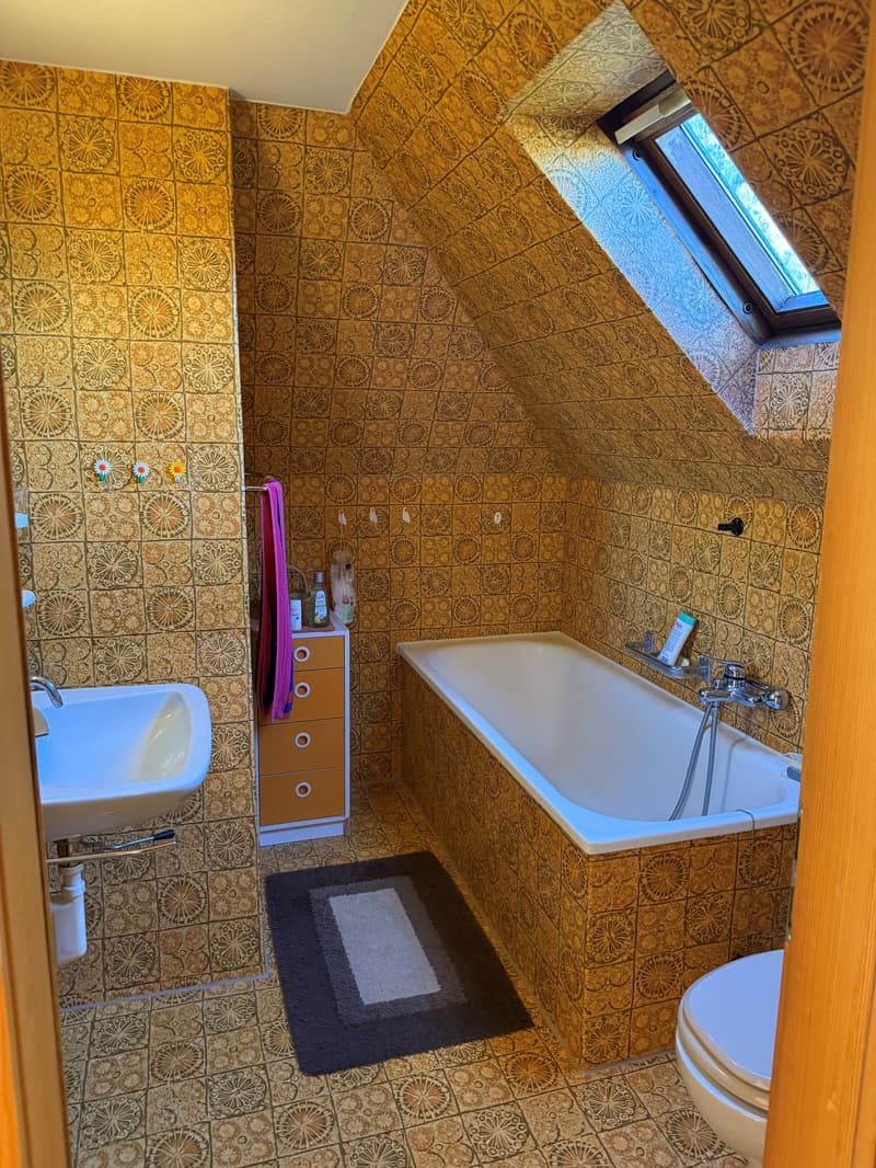 Proprietà con potenziale di nuova costruzione o di ampliamento a Interlaken (12)