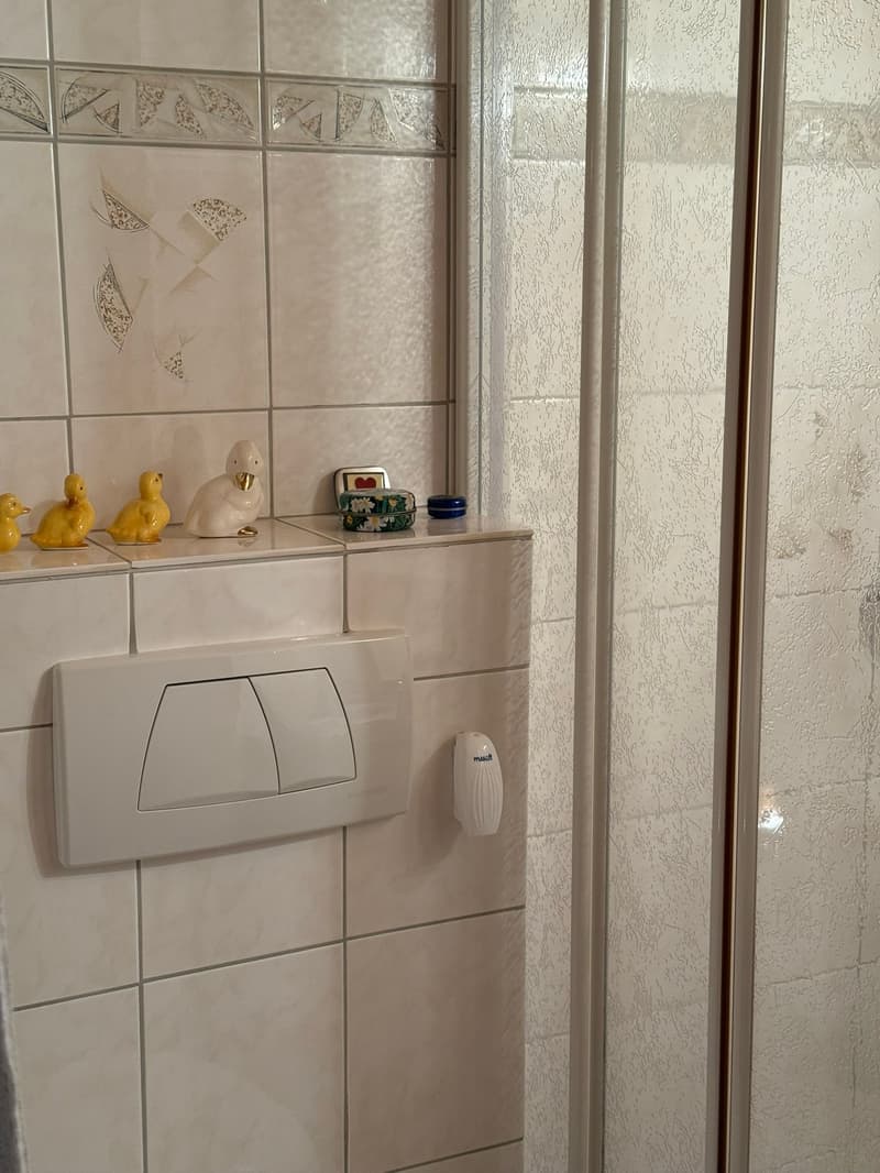 Einzigartiges Zuhause mit Seesicht & Charme - Wohnen, wo andere Ferien machen (13)