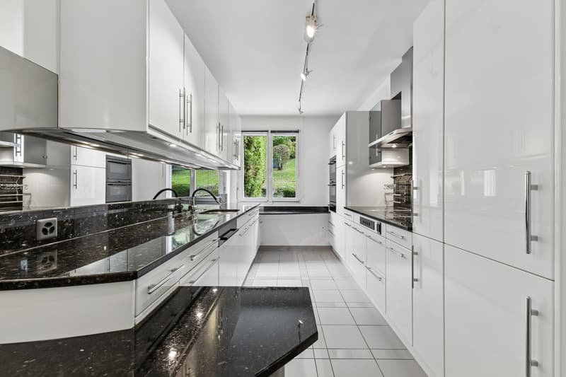 5.5-Zimmer - Maisonette Terrassenwohnung mit 51 m2 Terrasse und 315 m2 Gartenanteil (2)