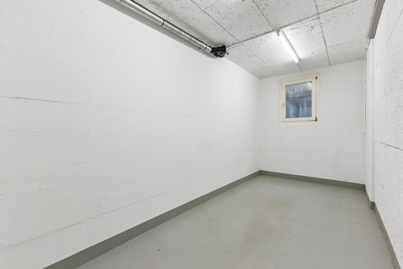 5.5-Zimmer - Maisonette Terrassenwohnung mit 51 m2 Terrasse und 315 m2 Gartenanteil (21)