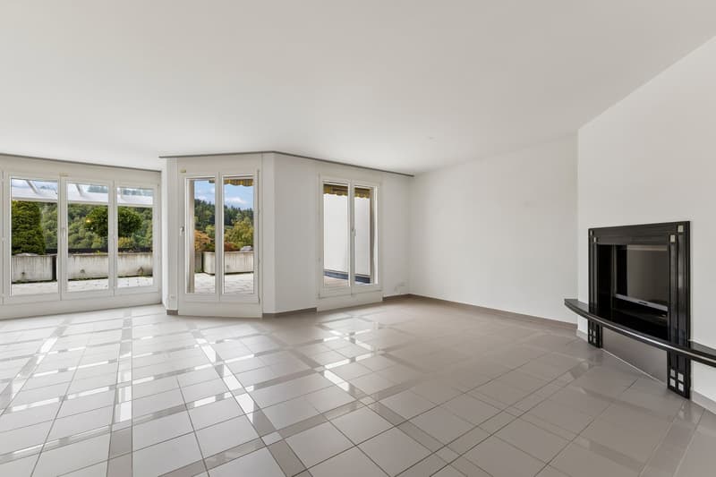 5.5-Zimmer - Maisonette Terrassenwohnung mit 51 m2 Terrasse und 315 m2 Gartenanteil (6)