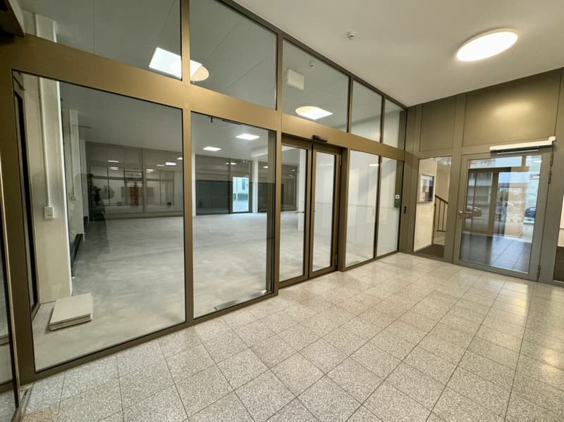 La vostra azienda catturerà immediatamente l'occhio qui! (11)