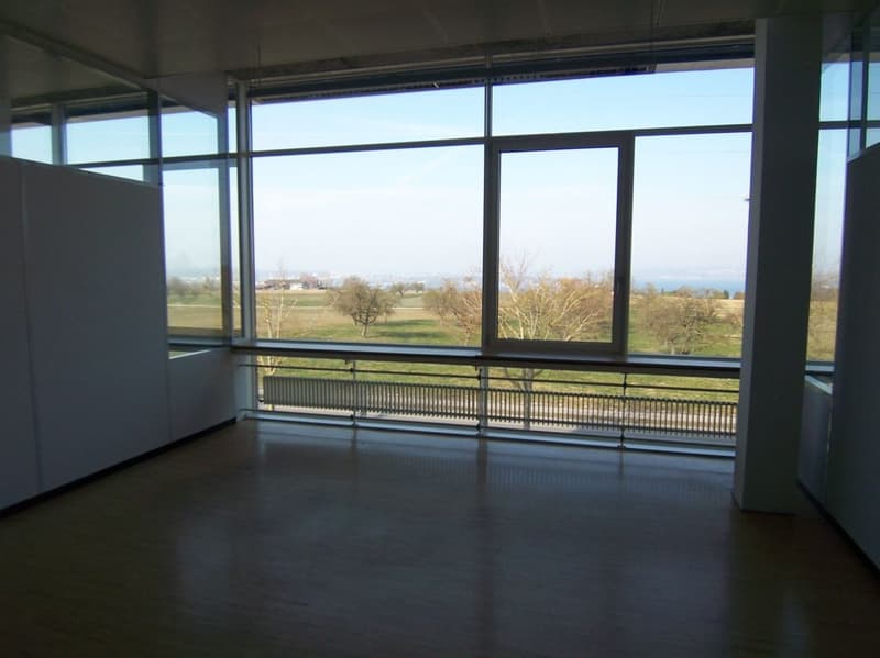 Temps pour du NOUVEAU - Espace commercial à Lengwil (3)