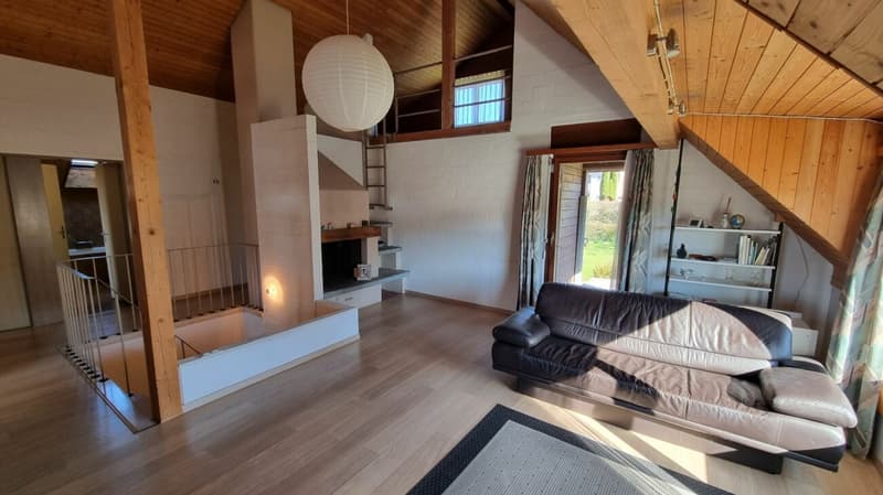 Family oasis with large garden (6)