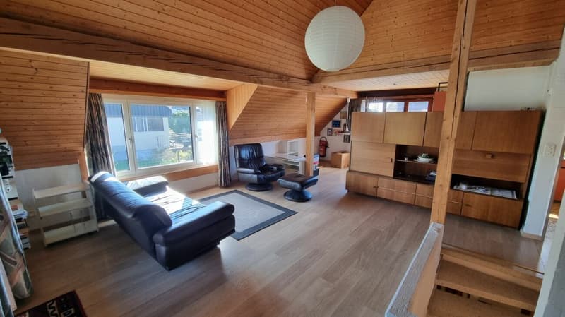 Family oasis with large garden (5)