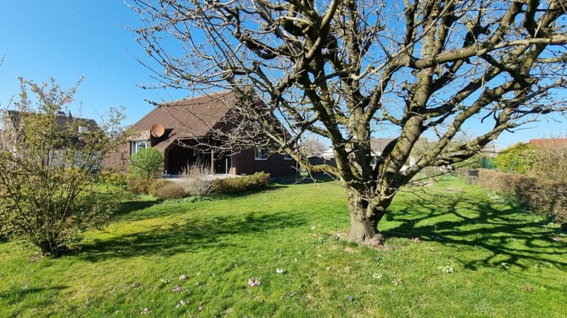 Family oasis with large garden (3)