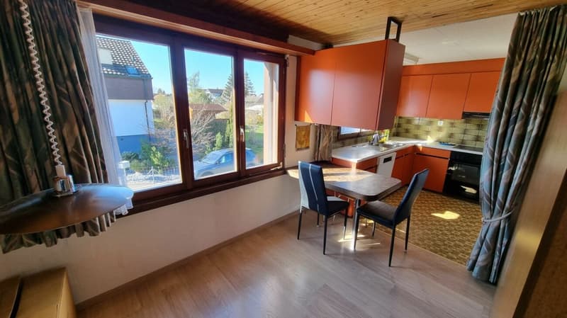 Family oasis with large garden (7)