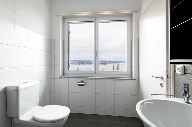 Il tuo posto di loggia sul lago Untersee (15)