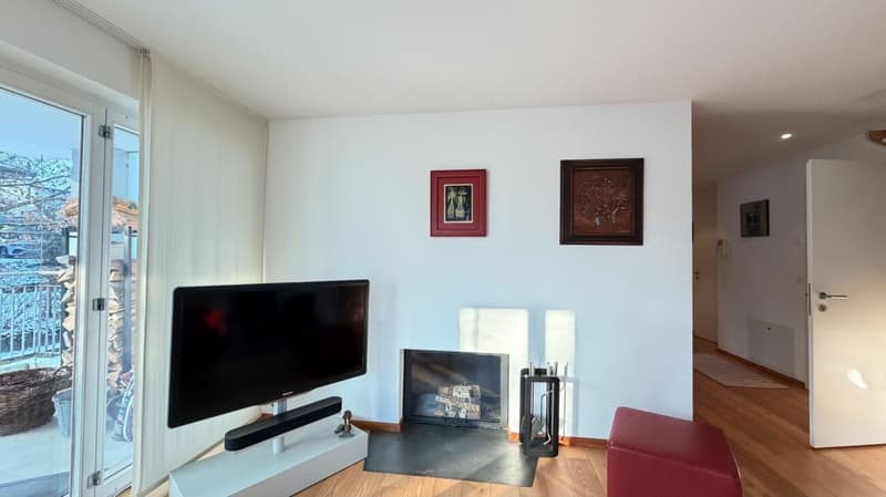 Elegant living with a far-reaching view (5)