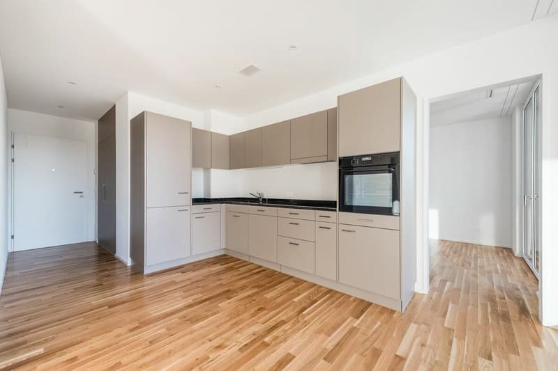 Appartement moderne 2½ pièces avec vue panoramique recherche de nouveaux locataires (3)