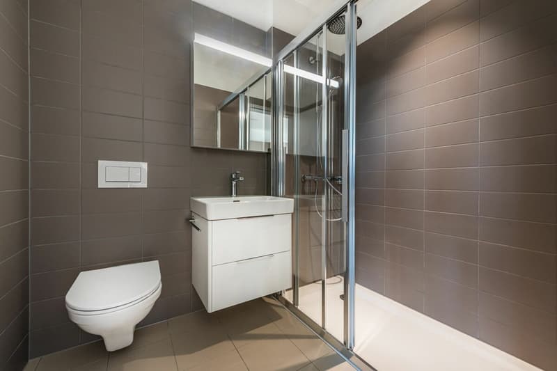 Appartement moderne 2½ pièces avec vue panoramique recherche de nouveaux locataires (8)