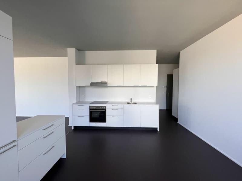 Elegantes Loft in bester Zentrumslage (3)
