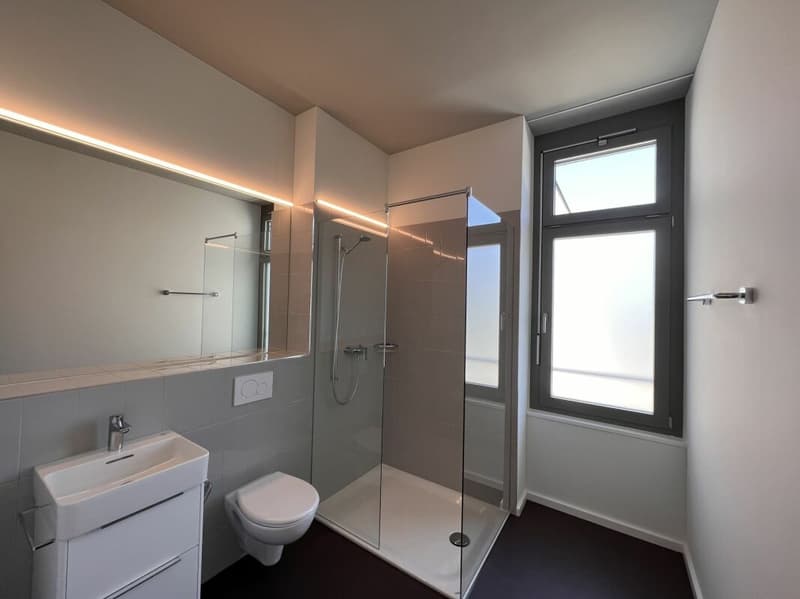 Elegantes Loft in bester Zentrumslage (5)